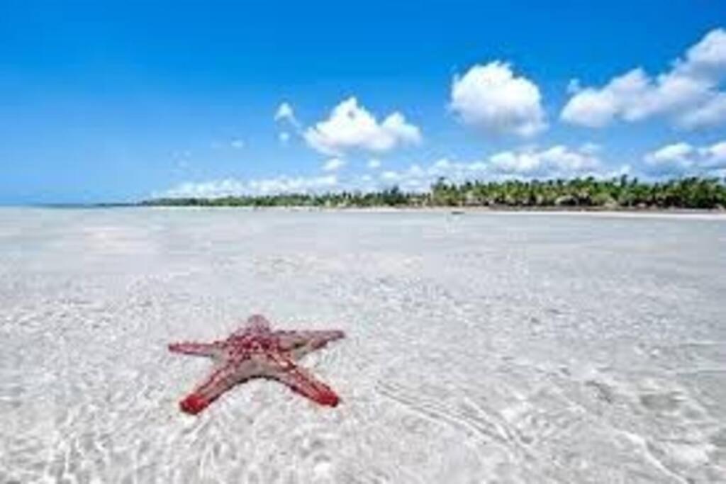White Villa - Paparemo Beach Watamu Exteriör bild